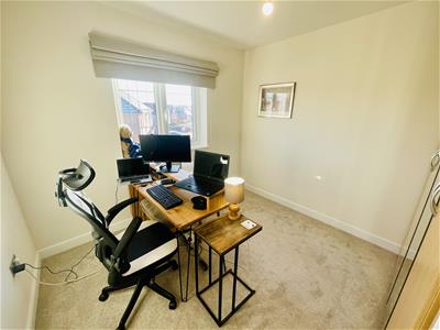 Picture 15